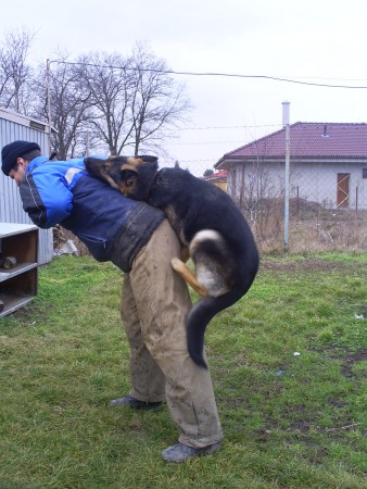 na aporte až do výšky